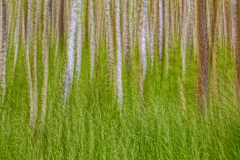 FrankGruber_MultipleExposure