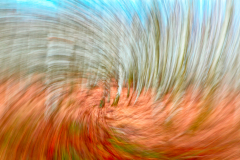 abstrakt-birkenwald-strudel